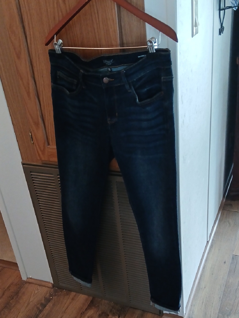 Judy Blue Dark Indigo Skinny Jeans
